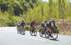 阐扬片区资本根本