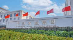 中国板材品牌排名